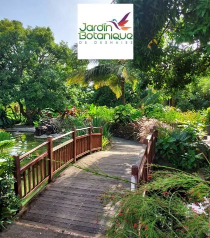 Jardin Botanique de Deshaies Jardin Botanique de Deshaies